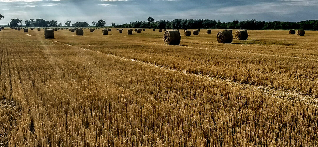 Markets Recovered Quickly From Past Viral Outbreaks.