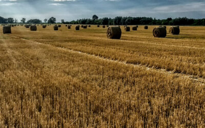 Markets Recovered Quickly From Past Viral Outbreaks.