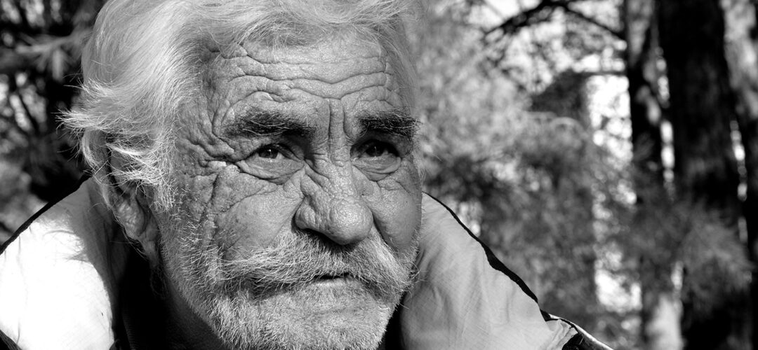 Exploring the 5 Cs of Travel: Culture, Cuisine, Community, Content, and Customization