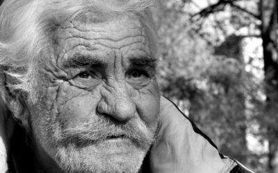 Exploring the 5 Cs of Travel: Culture, Cuisine, Community, Content, and Customization